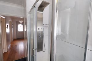 HAZEL MEWS- click for photo gallery